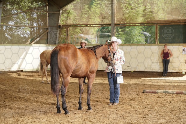 sK3F07962.JPG